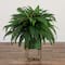 2.5ft. Boston Fern in Patina Metal Planter with Stand